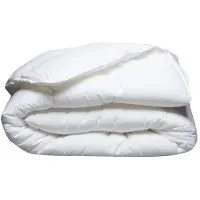 Blanreve Couette de poids moyen, anti-acariens - 300 g/m², 200 x 200 cm - Blanc