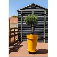 Riss Pot de Plante Riss - Essentiel de Jardinage Élégant