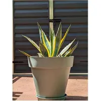 Riviera Pot de Fleurs Riviera Vert Ø 50 cm