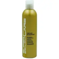 Hair Haus Shampooing réparateur Brilliant Care 250ml