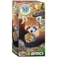Eurographics Red Pandas 250 pi ces Puzzle