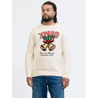 Jack & jones Plus Pull-over moutarde / jade / rouge / blanc naturel