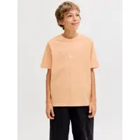 Jack & Jones Junior T-Shirt 'JJESoho' orange
