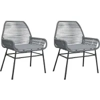 vidaXL Chaises de jardin 2 pcs. avec coussins Gris Poly Rattan