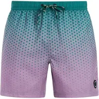 Protest Northaw Swimming Shorts Multicolore XS Homme
