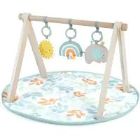 Ingenuity Tapis de jeu Ingenuity pour bébé