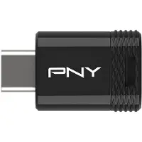 PNY Elite-X lecteur USB flash 256 Go USB Type-C 3.2 Gen 1 (3.1 Gen 1) Noir