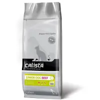 CALISTA - Chiot de bœuf - 12 kg