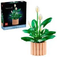 LEGO Botanicals - Les Fleurs de Lune 11504