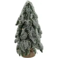 HBX natural living Décoration pour sapin de Noël Nobilis Snow 25 LED vertes 33 cm
