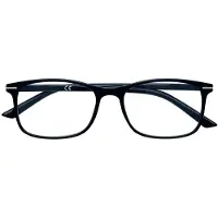Zippo Lunettes de lecture 31Z-B24 +2,50 Noir Unisexe