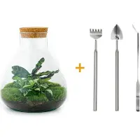 Urbanjngl Diy Terrarium - Sammie - ↕ 27 Cm