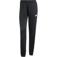 Adidas Pantalon de sport 'DAYREADY ' noir / blanc