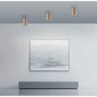 Pure Emplacement monté en surface au plafond Pure Point Ø 6 cm - bronce