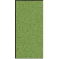vidaXL Tapis d'entrée Autre Vert et Noir 120 x 250 cm Polyamide et PVC