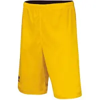 Errea Pantalon de sport 'CHICAGO' bleu marine / jaune