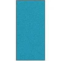 vidaXL Tapis d'entrée Autre Cyan et Noir 120 x 250 cm Polyamide et PVC