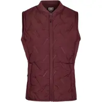 Trespass Miran - Gilet hybride actif pour femme Mulberry