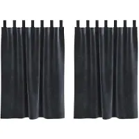 vidaXL Rideaux occultants, 2 pièces, gris foncé, 140 x 140 cm, en velours