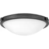 HINKLEY Elstead Collier Deckenleuchte E27 3-fach Schwarzes Oxid Glas klar mit Luftbläschen (E27)