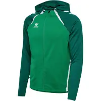 Hummel Hmllead 2.0 Zip Hoodie - jelly bean/evergreen, Taille:XL