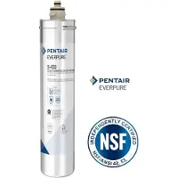 Everpure filtre à eau S-100 / EV9601-04