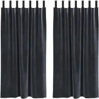 vidaXL Rideaux occultants 2 pcs gris foncé 140 x 175 cm velours