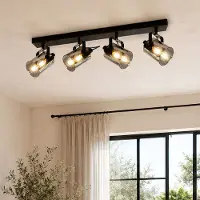 LumenXL Plafonnier avec verre gris fumé, 4 lumières - Lucie