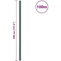vidaXL Membrane anti-mauvaises herbes vert 4x100 m PP
