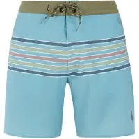 Protest Jacker Swimming Shorts Bleu S Homme