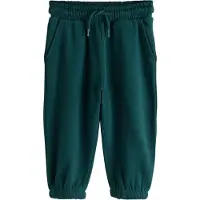 Next Pantalon vert foncé