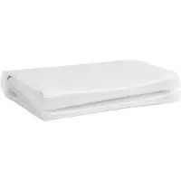 vidaXL Couverture transparente pour plantes, 2,5 x 1 mètre, en PE