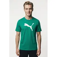 Puma Teamrise T-Shirt Hommes - Vert
