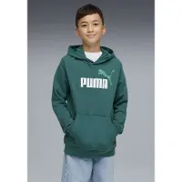 Puma Sweat à Capuche Ess 2 Color Nº1 Logo