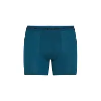 Icebreaker Merino 150 Anatomica Boxers Bleu S Homme