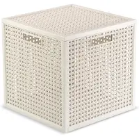 Curver KAYA Aufbewahrungsb.Cube19l ws 115787 8013183158170