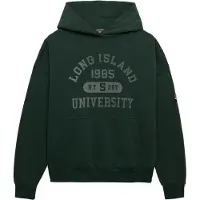 Superdry Sweat-shirt gris / vert