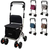 Mobiclinic Déambulateur avec panier Chariot de courses avec siège Sac à provisions pliable 21 L 4 roues Acier Coliseo