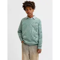 Jack & jones Junior Sweat menthe / blanc