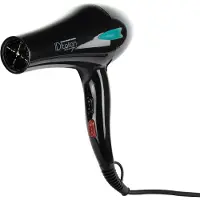 Italian Design Professional Hair Dryver Elite Hair Dryer Argenté One Size / EU Plug 220V