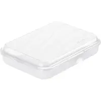 Rotho Boîte à lunch - - FUN - 0,75 l - Fermeture à clip - Polyvalente (repas &amp; rangement) - Vert