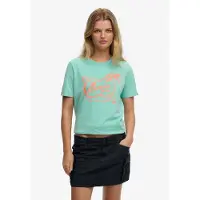 Superdry T-shirt 'Roadside Trade' vert clair / orange