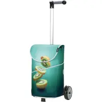 Andersen Shopper Valisette 'Unus Shopper MIX A10 ' vert foncé / mélange de couleurs