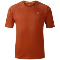 Dare 2b Trackstand Ace Short Sleeve T-shirt Marron S Homme