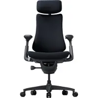 Libernovo Omni Chaise ergonomique dynamique Noir minuit 48 cm 1 pièce [Précommande ouverte, cadeau offert : repose-pieds de 199 € avec précommande du 20 au 31 mai]