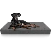 Knuffelwuff Orthopädische inkontinenz Hundematte Lenie XXL, Grau (Chien)