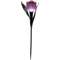 Koopman Lampe solaire tulipe colorée 30cm, éclairage LED de jardin, étanche & écologique
