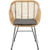 Idimex Chaise De Salle À Manger Paramo Fauteuil D'intérieur Ou D'extérieur Pour Jardin En Imitation Rotin Et 4 Pieds En Métal Laqué Noir