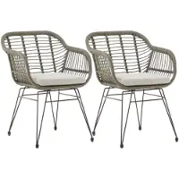 Idimex Lot De 2 Chaises De Jardin Paramo, Imitation Rotin Gris Fauteuil D'extérieur Pour Terrasse Ou Balcon Résistant Aux Uv
