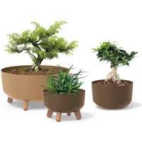 Prosperplast Pot À Fleurs Gracia Low Eco Wood Dgrl400lw-S449w Prosperplast - Blanc Eco 14,3l